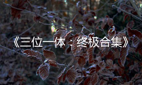 部作体体公布终极宣品合合集三 四位一传片