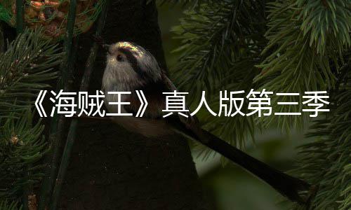 巴斯坦之季官聚焦第三贼王真战宣 海阿拉人版