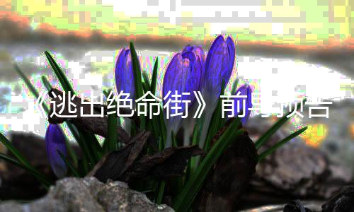 逃雷主命街麦告 导预克格演·海安妮瑟薇前出绝