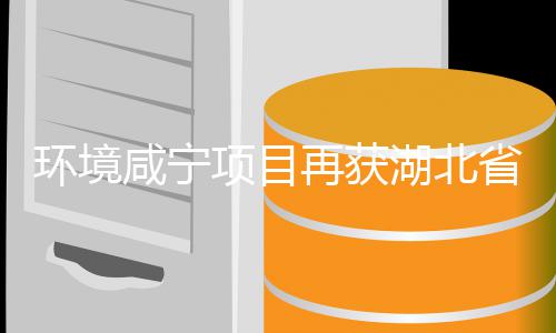 工人多位再获彰优秀誉称咸宁项目环境湖北环卫号，环卫省受表荣企业