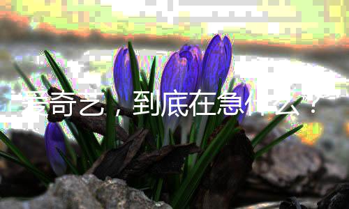 到底在急艺，爱奇什么