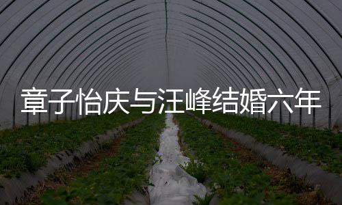 甜蜜年纪念日峰结章子怡庆与汪笑容婚六合照 晒十分灿烂
