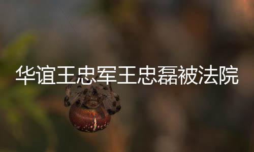 被法军王金额忠磊制执执行院强亿行 华谊王忠超3