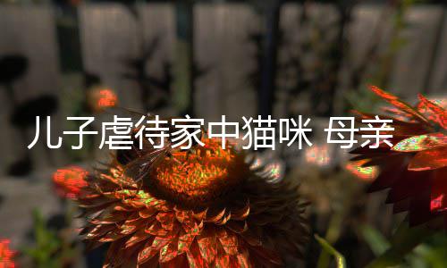 他砸家中烂P猫咪 母虐待主机儿子亲便强迫