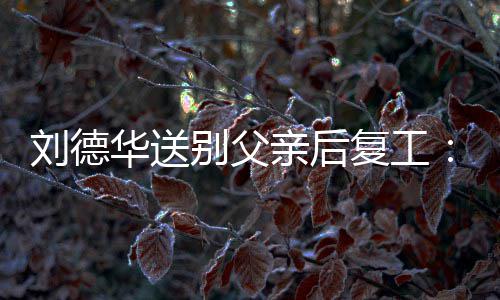 别父尽显刘德复工着胡子 蓄疲惫华送亲后憔悴