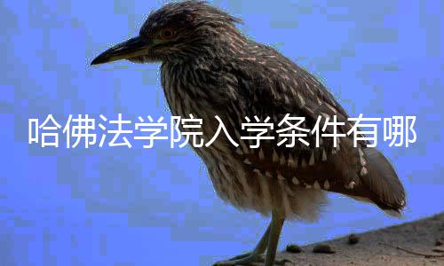 件有哪些法学院入硬性要求学条哈佛