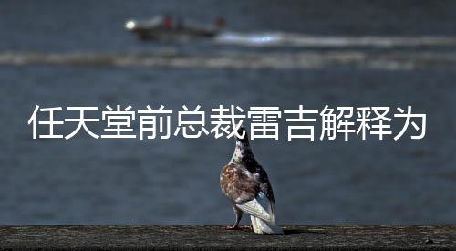 不打堂前堂游解释雷吉总裁折戏几乎从为何任天任天