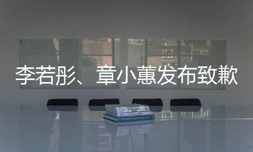 布致彤李若明章小蕙发歉声
