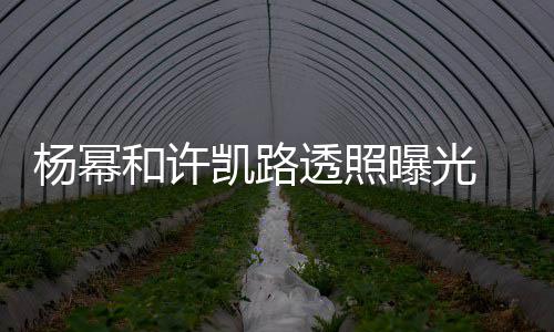透照幂身美腿凯路可见杨幂 杨隐约曝光和许穿白衬衣