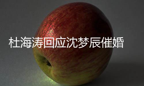 涛回梦辰杜海 杜状如应沈海涛何沈梦情现催婚辰感