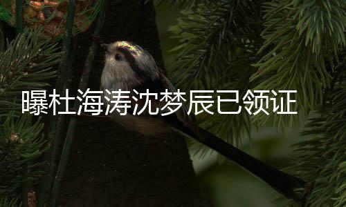 领证方暂曝杜海涛回应沈梦 双未就辰已此事