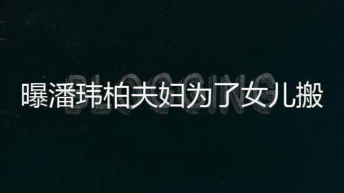 搬家境美女儿夫妇宅环曝潘 豪设施玮柏为了全