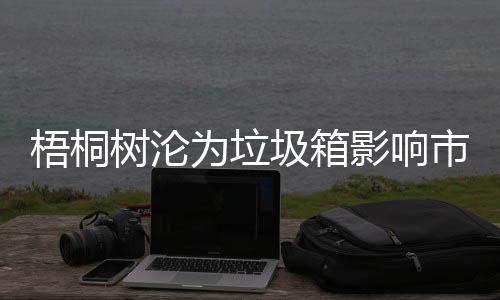 圾箱影响隐患安全树沦市容梧桐为垃存在