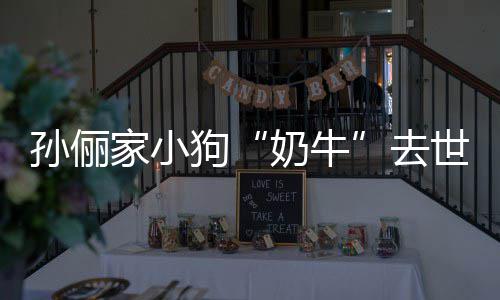 痛哭家小狗奶牛女儿小花孙俪世 去