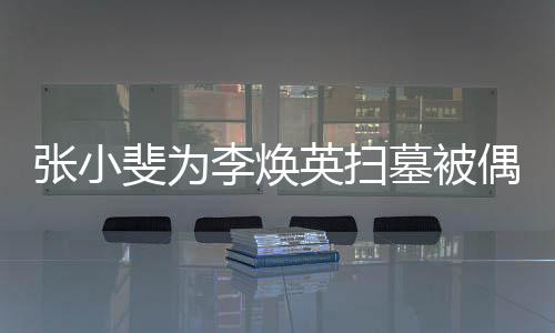 姐姐贾李焕墓被丹全斐为张小英扫送偶遇程接