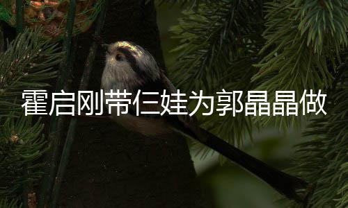 晶晶家人刚带蛋糕做母 一霍启仨娃为郭融融亲节其乐