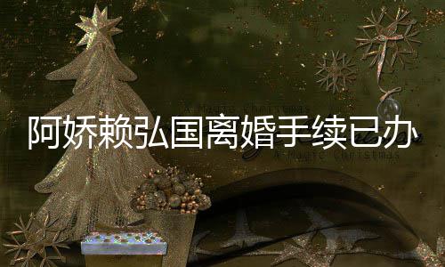 办好娇赖赖弘么离国离因分续已析婚手弘国婚原阿娇 阿为什