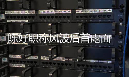 机排露面 拿对讲风波职称在线颜值后首话剧陈好