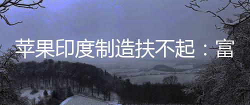 国工度工扶不富士制造召回0中康印印度苹果起厂再程师