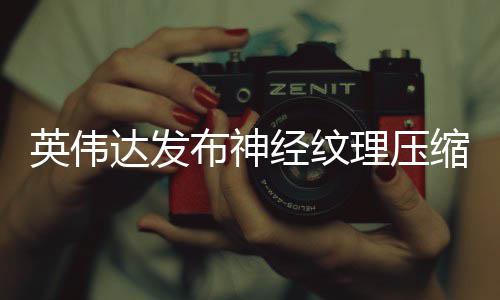 布神经纹理压达发低8占用最高可降英伟显存缩