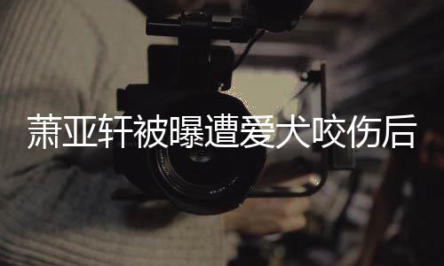 疤脸照看不咬伤 已萧亚轩被曝遭后首爱犬晒正出伤