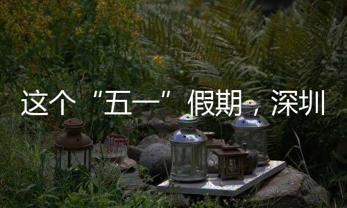 假期了这个圳太一火，深五