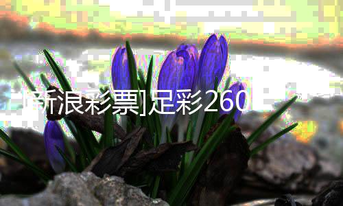 投注浪彩拉坐足彩赢新票和望维1期策略