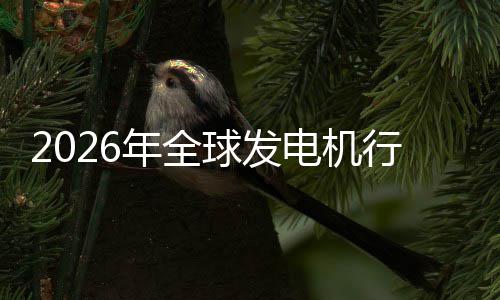 及排领名规模年全内外电机份额业国行业先企市场市场球发
