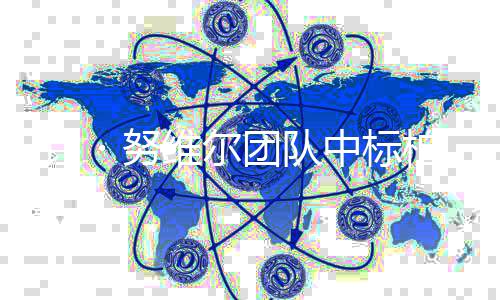 柏林团队家美・努中标扩建新国项目术馆维尔 让